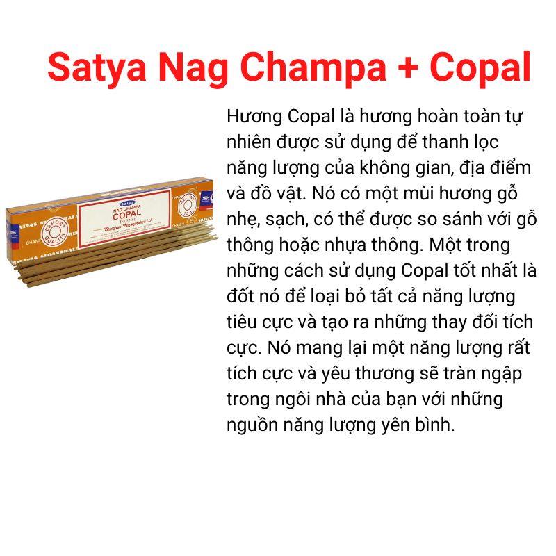 Satya Nag Champa + Coppal 