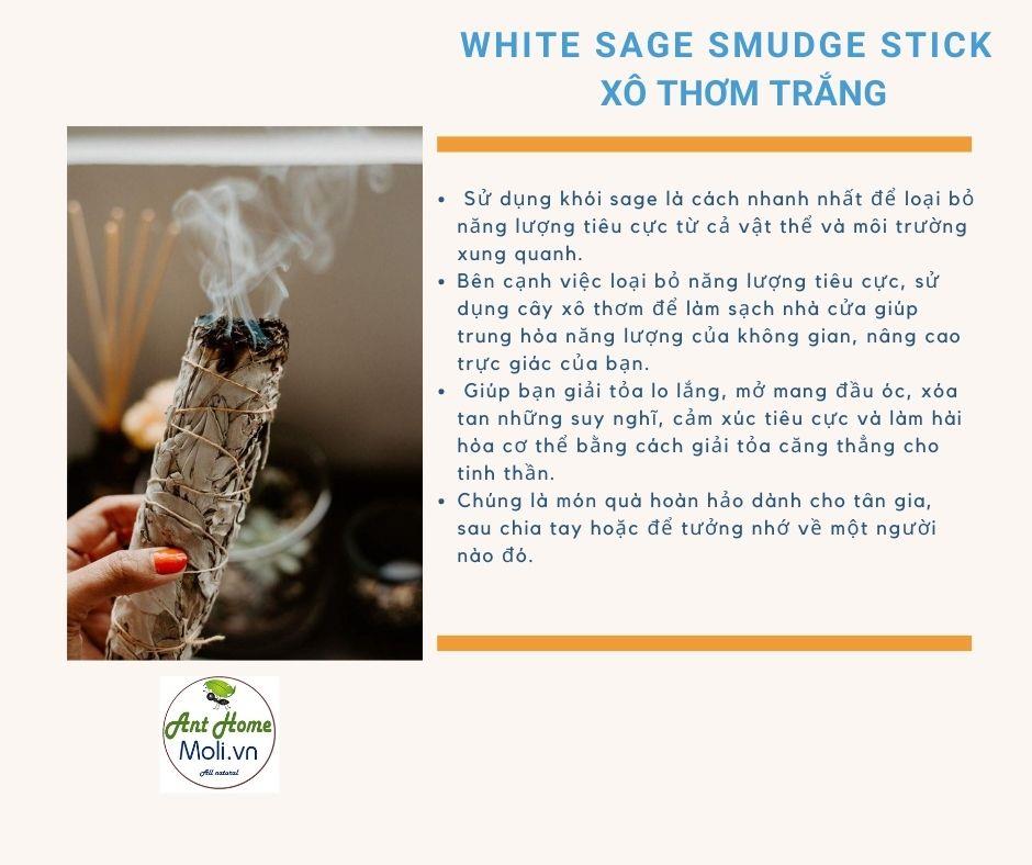 Xô thơm trắng - White sage smudge stick 11cm