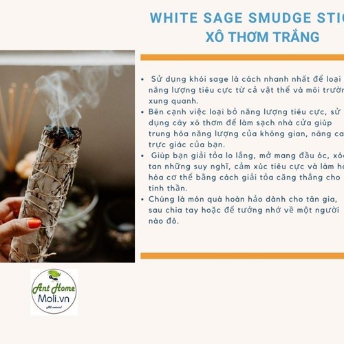 Xô thơm trắng - White sage smudge stick 11cm