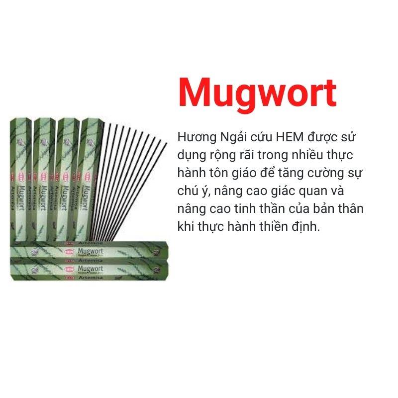 Hương Nhang HEM51 Mugwort