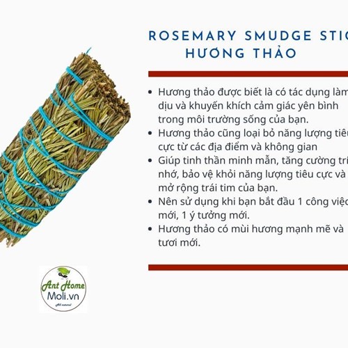Bó Hương thảo - Rosemary smudge stick 11cm