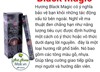 Hương nhang HEM6 Black magic
