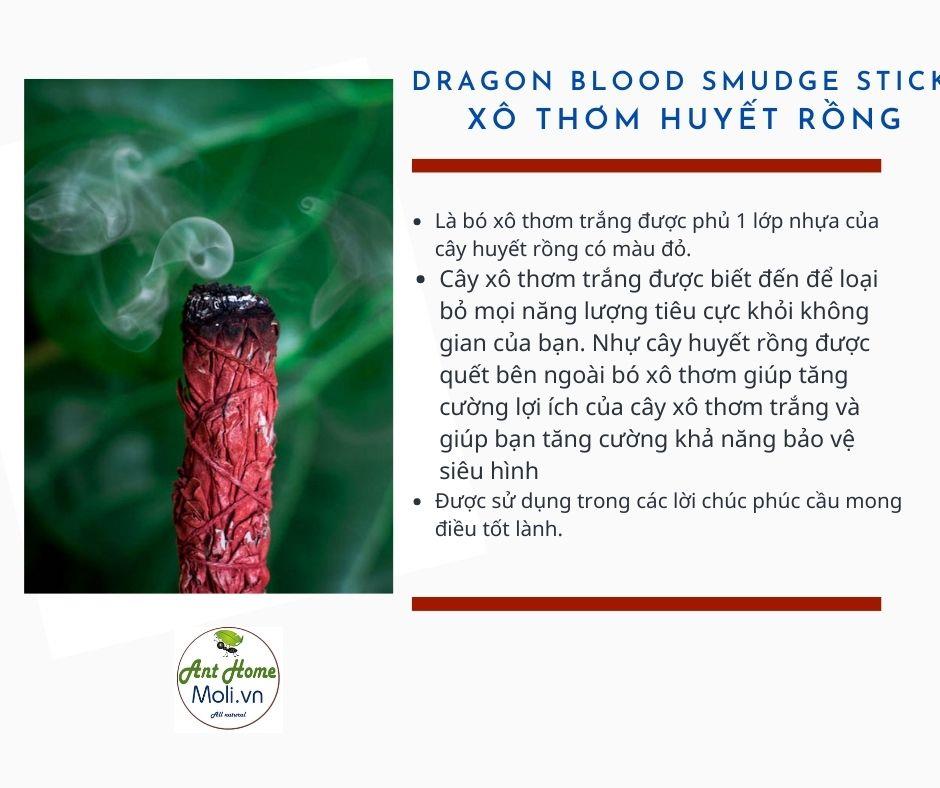 Bó xô thơm huyết rồng - Dragon blood smudge stick 11cm