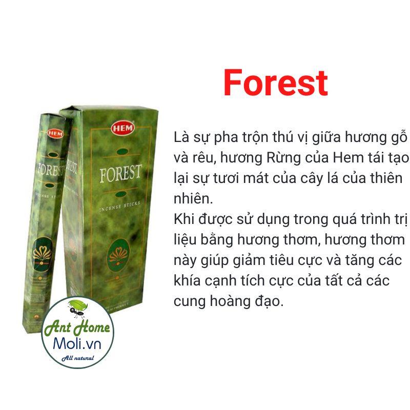 Hương nhang HEM90 Forest